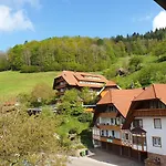 Hotel Kurparkhotel Faisst 3*