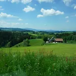 Hotel Kurparkhotel Faisst 3*