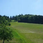 Kurparkhotel Faisst 3* Bad Peterstal-Griesbach