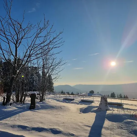 Kurparkhotel Faisst Otel 3*