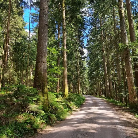 Kurparkhotel Faisst Bad Peterstal-Griesbach