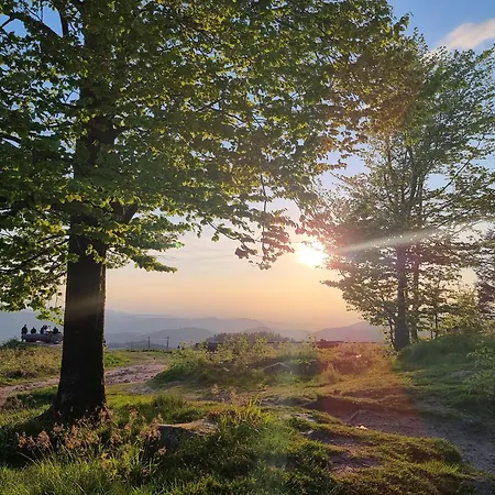 Otel Kurparkhotel Faisst 3*