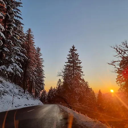 Otel Kurparkhotel Faisst Bad Peterstal-Griesbach