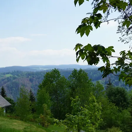 Hotel Kurparkhotel Faisst Bad Peterstal-Griesbach
