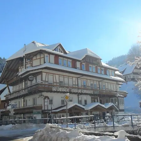 Kurparkhotel Faisst 3* Bad Peterstal-Griesbach