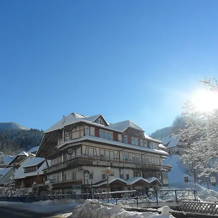 Kurparkhotel Faisst Otel Bad Peterstal-Griesbach