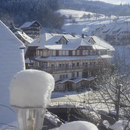 Kurparkhotel Faisst Otel 3*