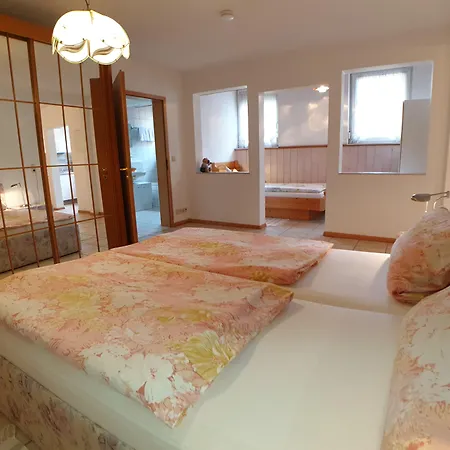 Отель Kurparkhotel Faisst Бад-Петерсталь-Грисбах