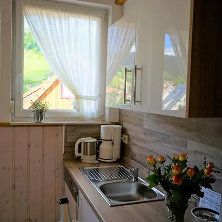 Kurparkhotel Faisst Otel Bad Peterstal-Griesbach