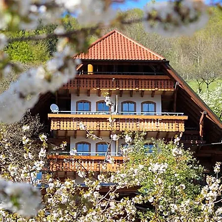 Kurparkhotel Faisst 3* Bad Peterstal-Griesbach