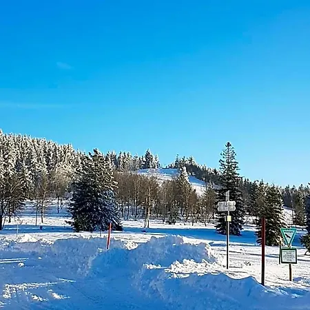 Kurparkhotel Faisst 호텔 3*