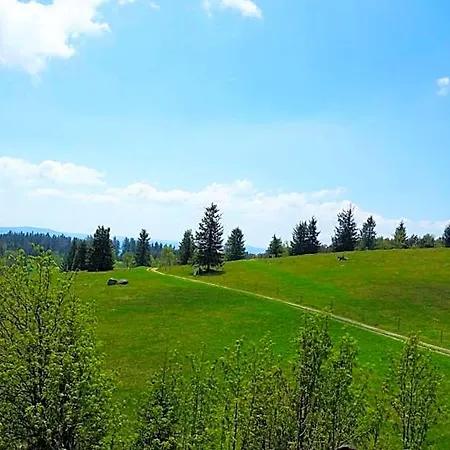 Szálloda Kurparkhotel Faisst