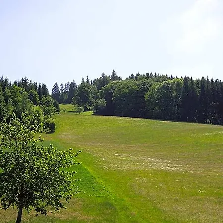 Kurparkhotel Faisst 3* Bad Peterstal-Griesbach