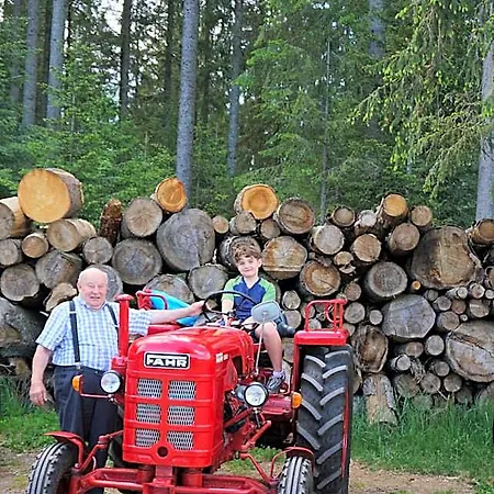 Kurparkhotel Faisst 3*