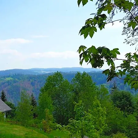 Kurparkhotel Faisst 3* Bad Peterstal-Griesbach