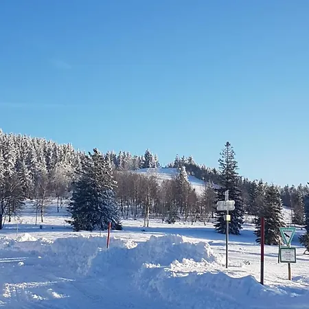 Kurparkhotel Faisst 3* Bad Peterstal-Griesbach