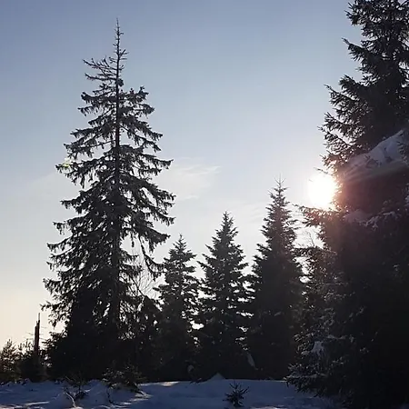 Kurparkhotel Faisst Otel