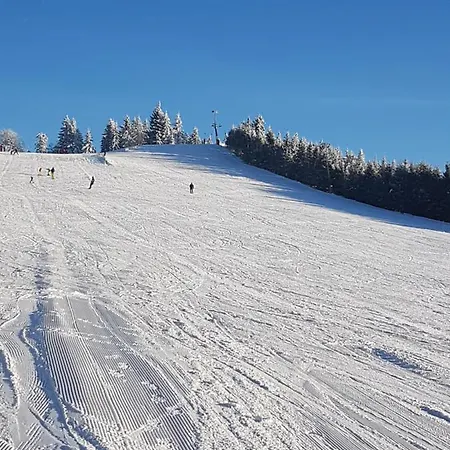 Otel Kurparkhotel Faisst Bad Peterstal-Griesbach