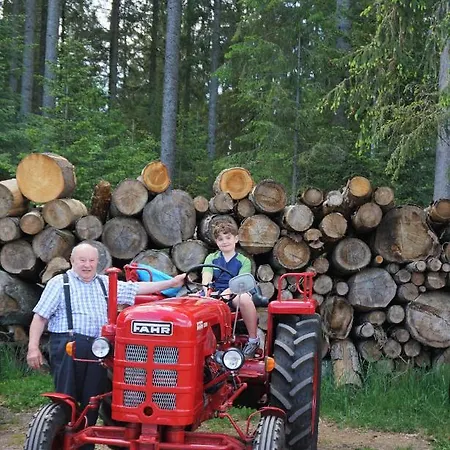 Kurparkhotel Faisst Otel