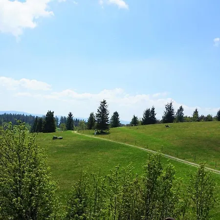 Hotel Kurparkhotel Faisst Bad Peterstal-Griesbach