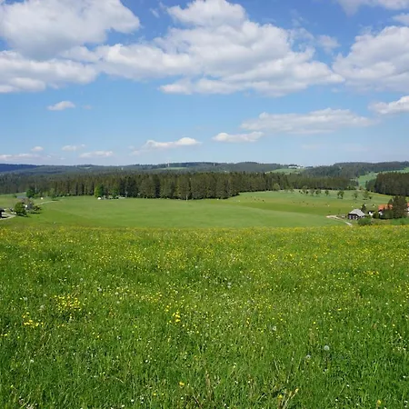 Kurparkhotel Faisst Otel