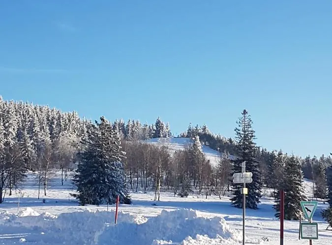 Kurparkhotel Faißt 3* Bad Peterstal-Griesbach