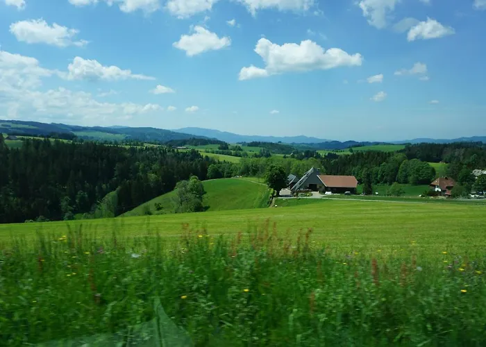 Szálloda Kurparkhotel Faisst 3*