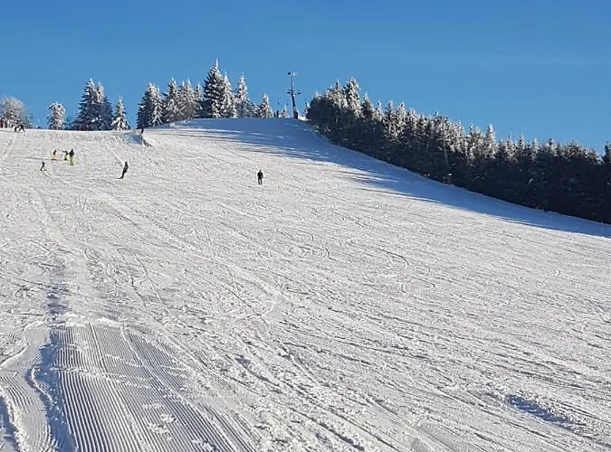 Hotel Kurparkhotel Faißt Bad Peterstal-Griesbach