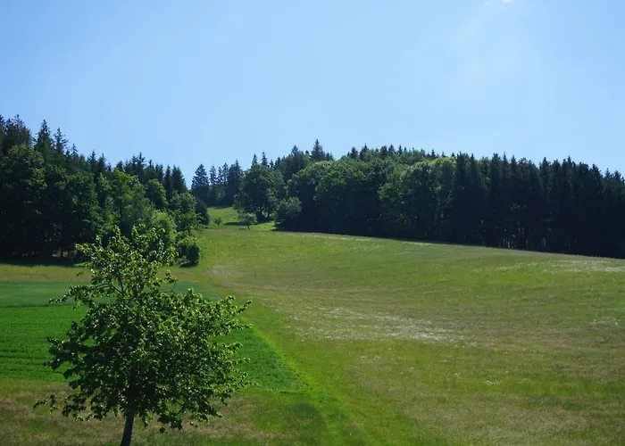 Kurparkhotel Faisst 3* Bad Peterstal-Griesbach