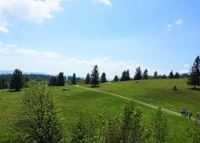 Szálloda Kurparkhotel Faisst Bad Peterstal-Griesbach